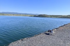 Jezero Most