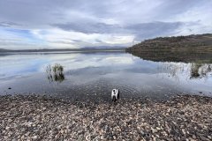 Jezero Most