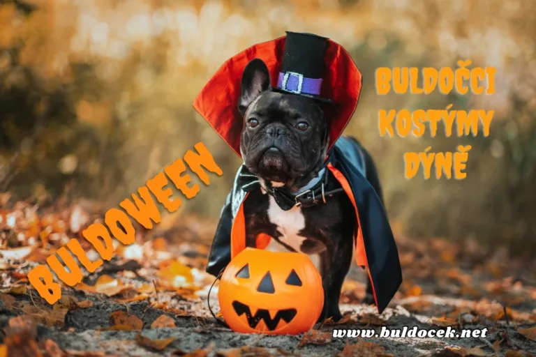 Buldoween