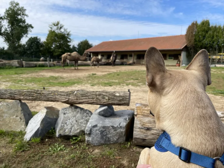 ZOO park Vyškov